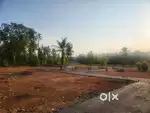 Residencial plot 7,9 cent Avanoor Thrissur