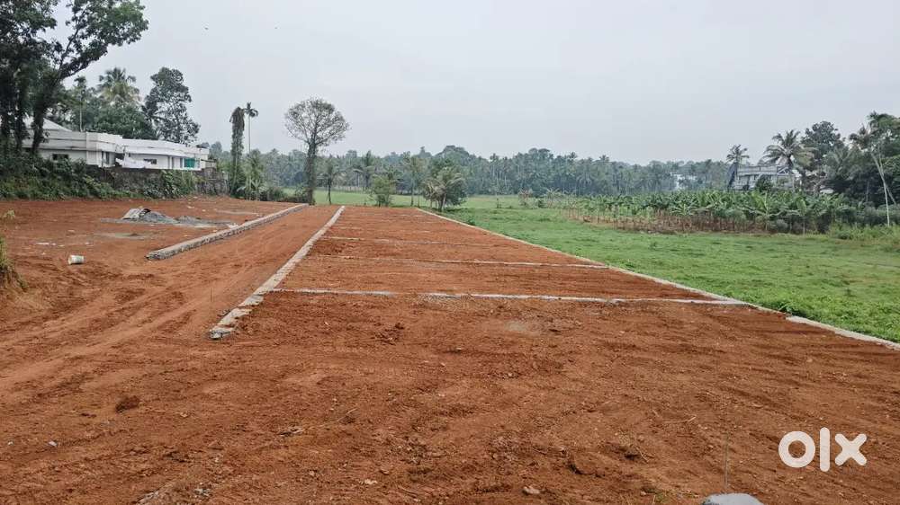 Pukkattupady malyidomthuruth 3,4,5,8,10 cent house plot