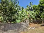 15 cent  Land  Kolazhy Thrissur