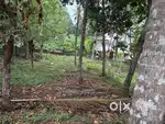 Eranjipalam   8.45 Cent House / Apartment plot