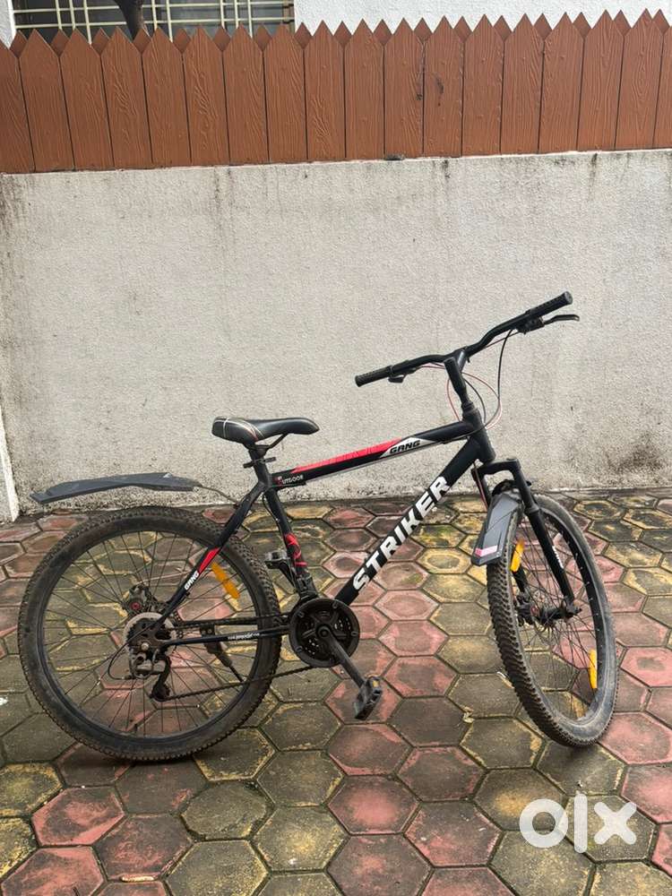 Gang Striker 21 Gear Dual Disc