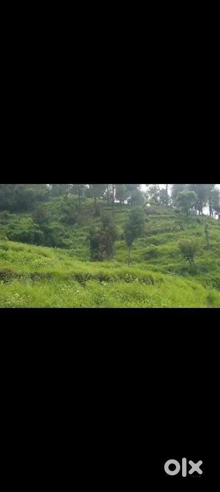 8 naali available in Bhimtal