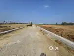 Sangareddy Town DTCP Approval Open Plots