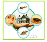 Pest control services termite control cockroach control bed bugs