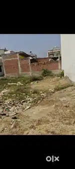 Double Face Plot