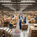 Immediately joining picker and packer job @ Velachery network