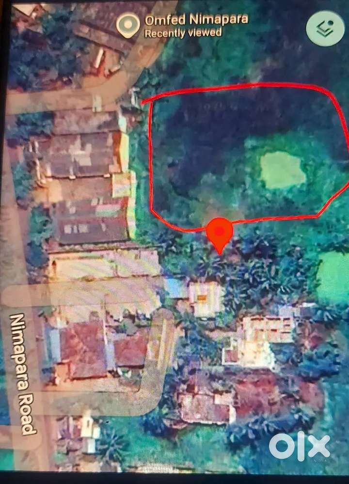 37,000 Sq. Ft. Land for Sale in Nimapara Behind Marfed & Omfed Plant