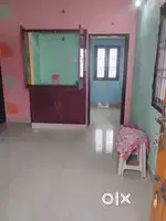 Individual house for rent