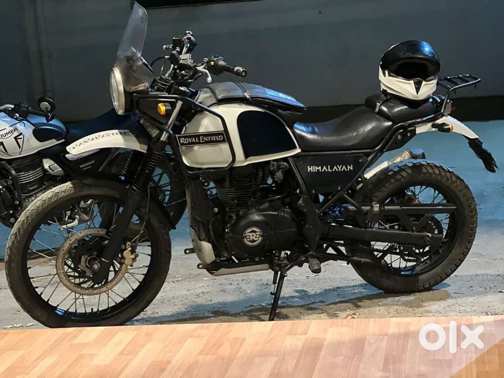 Himalayan for sale!