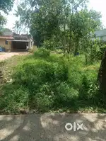 6 cent -280000 lakh / cent
