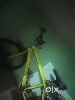 2024 model
