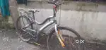 model 2024
