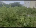 Empty land for rent, starcity