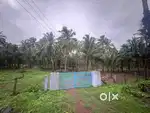 Kozhinjampara thottam and house plot for sale