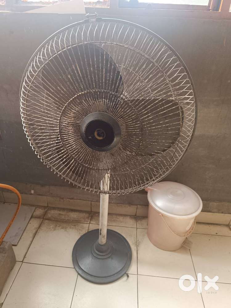 Crompton Stand fan