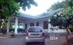 Maruti Suzuki Alto K10 2010