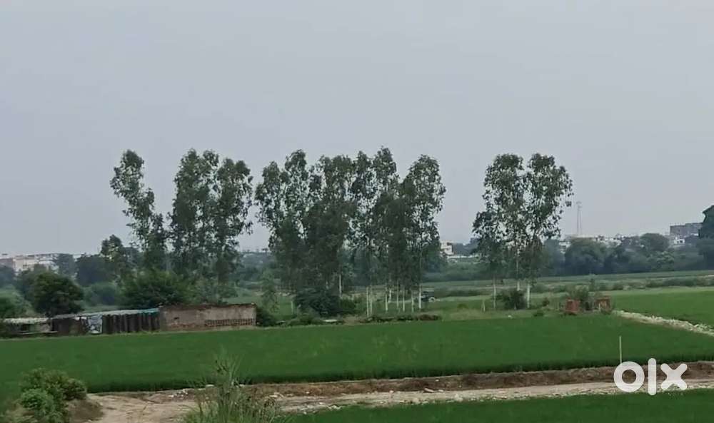 East facing में PLOT खरीदे और पाएं सभी सुविधाओं ka आनंद sec145 में