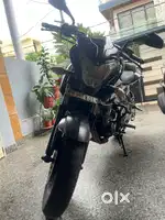 Pulsar 200 NS, engine from the best time