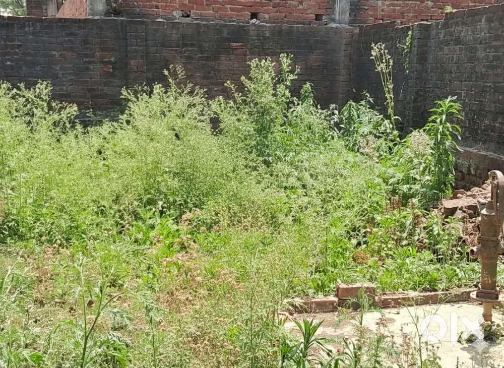 Mera khud ka plot hai 3 temporary room and 10 ft ki Boundary hai