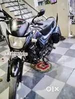 New byk prchej