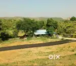 10,000 Sqft SDO Convert Plot for Sale, Karelo Ka Guda, Chirva, Udaipur