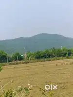 Chandikhol
