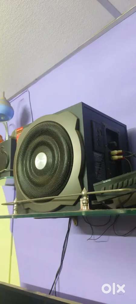 Speaker woofer
