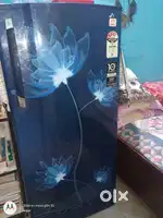 A fridge in excellent condition