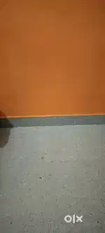 1 bhk flat for rent bathroom attached