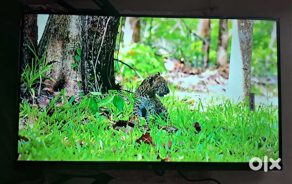 1+ android smart 32inches led tv