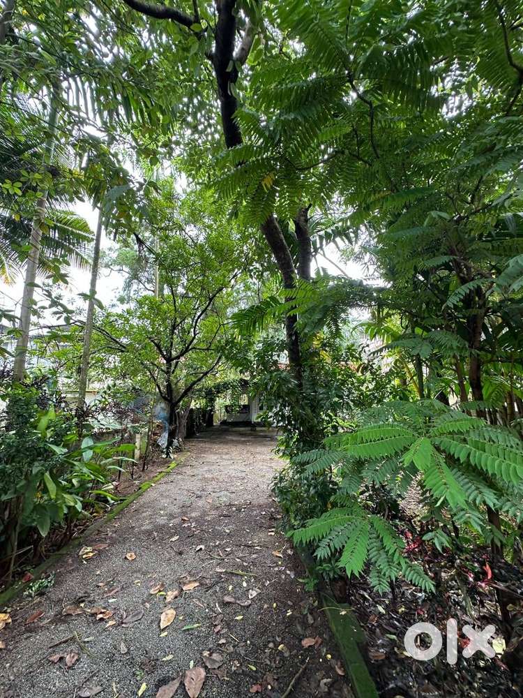 10.4 Cent Land with Building for Sale – Azad Road, Kaloor