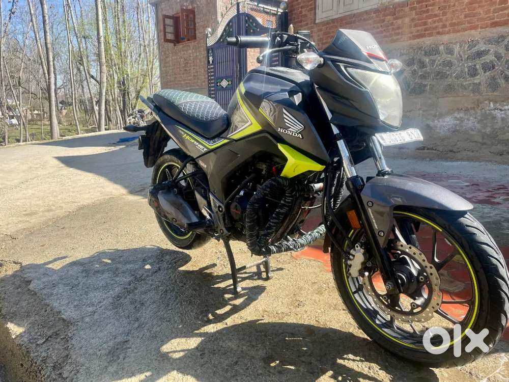 Honda Hornet