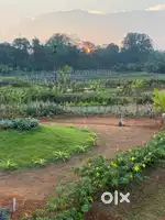 Plots in Bejjavalli Shimoga, 30x50 East facing, General property