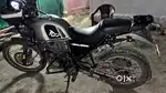himalayan411