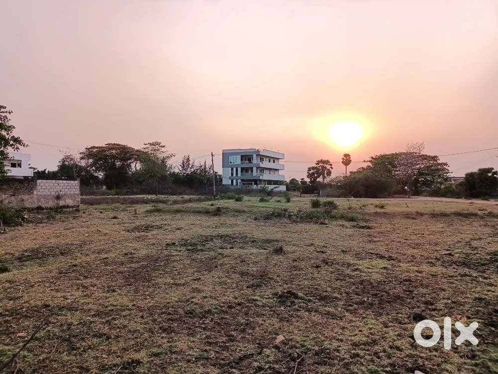 Just 75 mts to achempeta main road.and 100 mts to ADB road