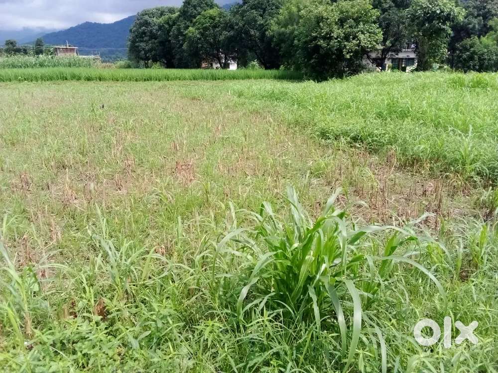 This land for emergency sell