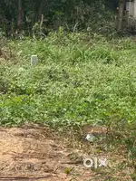 House plot for sale