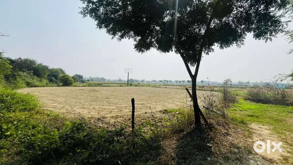 property for sale lko ayodhya highway front 120+ Rate-5500rs sq fit