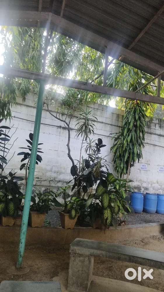 Cradle with 7 years old