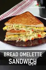 Sandwich juice maker,bread omlette