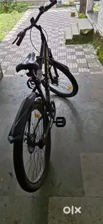 Disc brake cycle