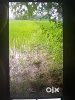 3 Bigha Land for Sale