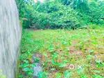 ভুরিপুকুর এরিয়া ১৪ কাঠা জায়গা।সব পেপার আপডেট