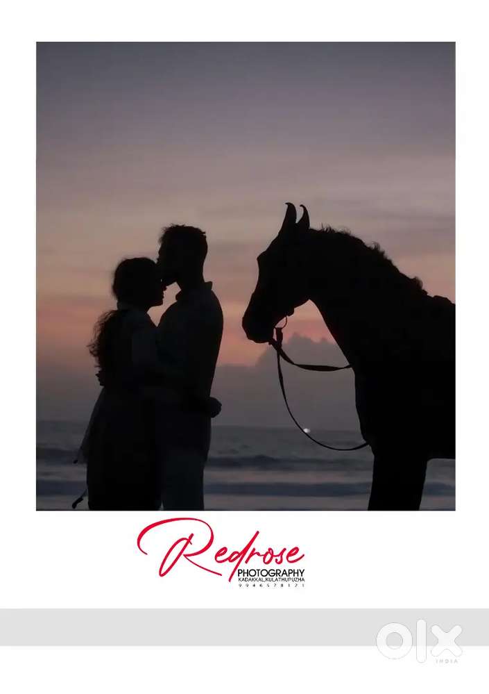 Album designer and graphic designer