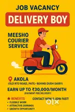 Meesho Delivery Boy