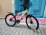 Leader D1FP Double Disc Break Sports Cycle