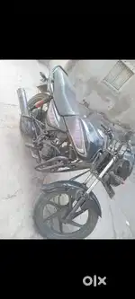 Jetpur jova male