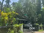14 cent Residential plot for sale - moonipedika