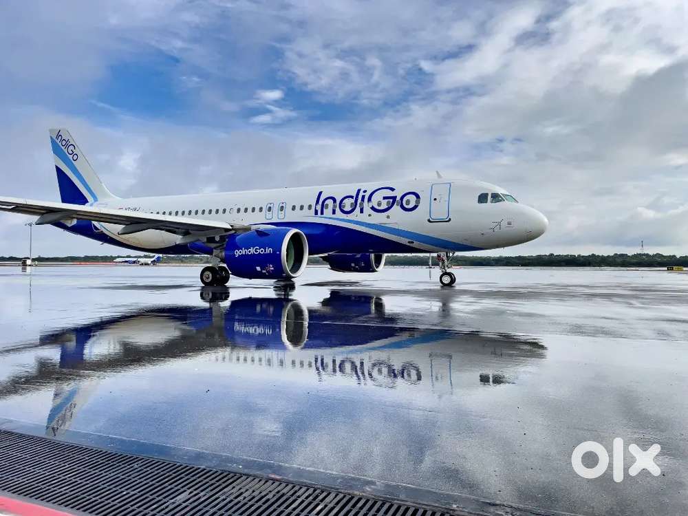 Urgent hiring for male female candidates in indigo Airlines