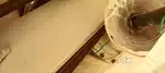 Ceiling fans